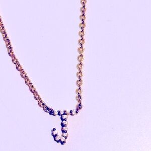 BAUBLEBAR Dainty Nora 14k Gold Plated Pave Initial “J” Necklace